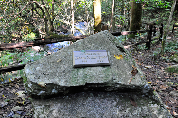 stone in memory of Doris Pitkin Buck